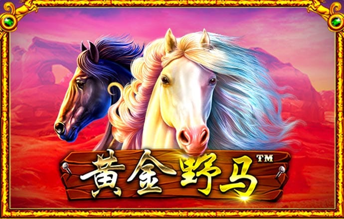 944cc天下彩入口二