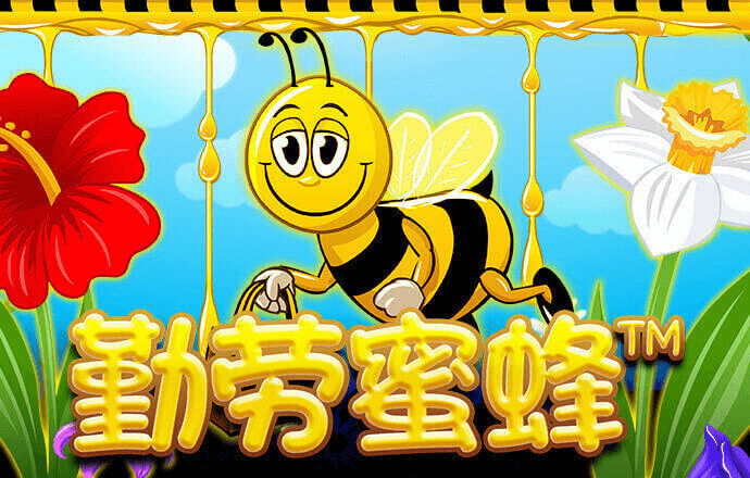 zoty中欧体育下载